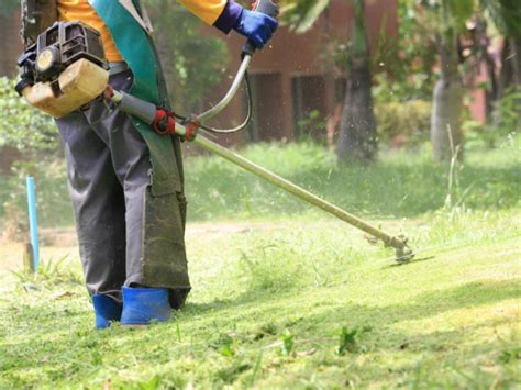 Annunci in Offerte di lavoro a Giardini